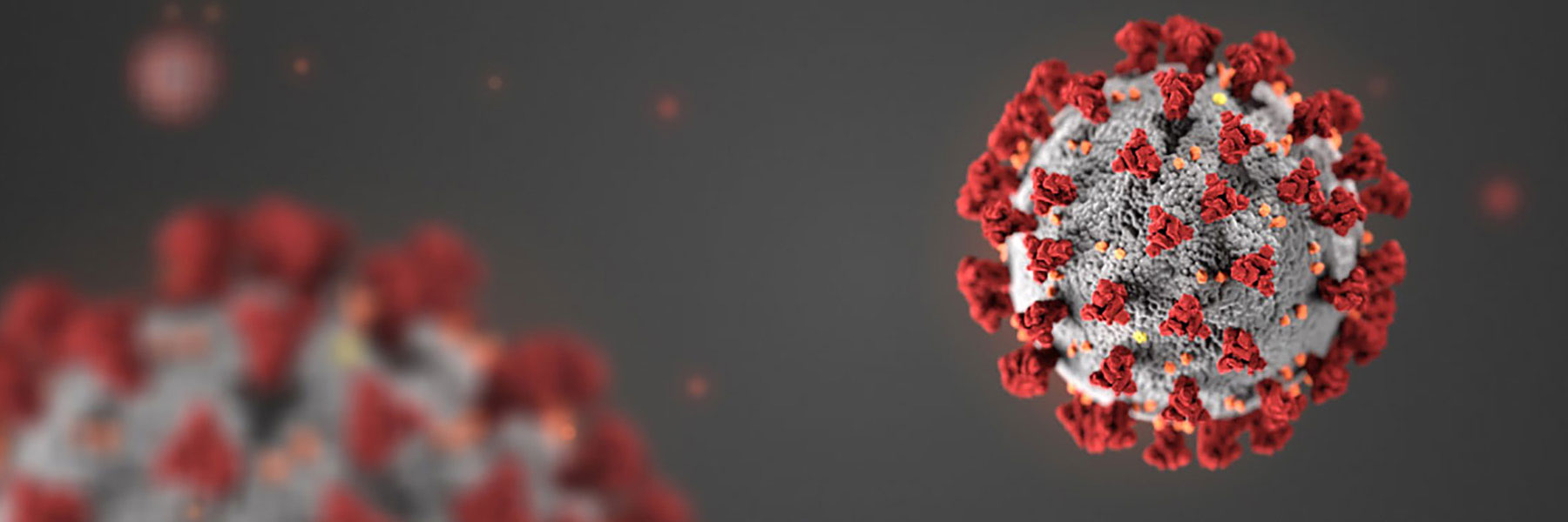 coronavirus