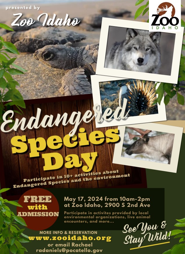 Endangered Species Day 2024 Facts Nonie Annabell